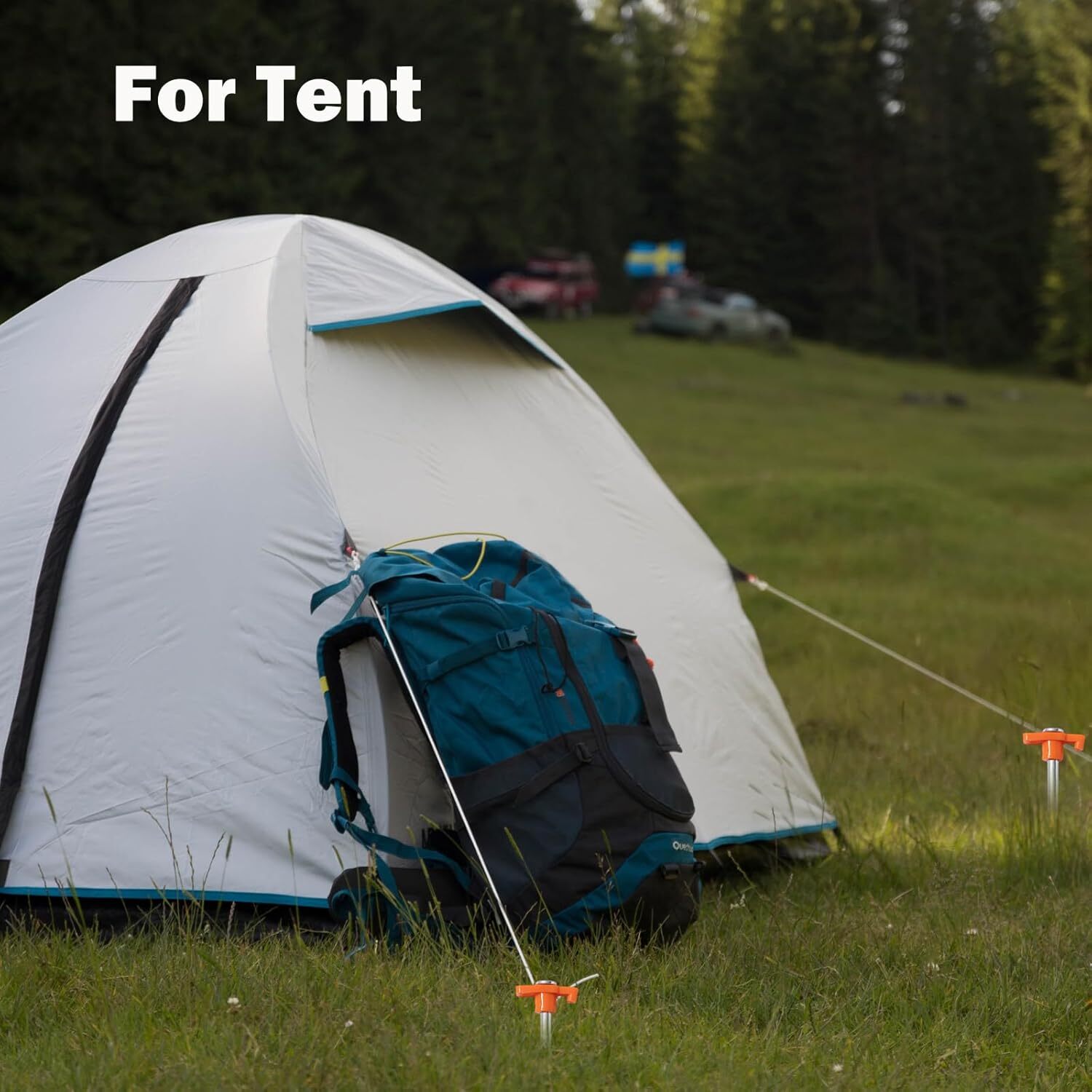 20 Pack Tent Stakes Heavy Duty, 10inch Tent Stakes Pegs, Metal Tent Spikes Groud