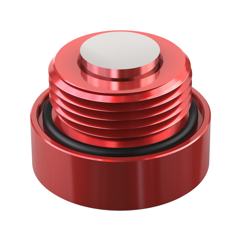 2x Differential Drain Plug Fill Plug For BMW E30 E36 E46 E91 E90 E92 E93 F30