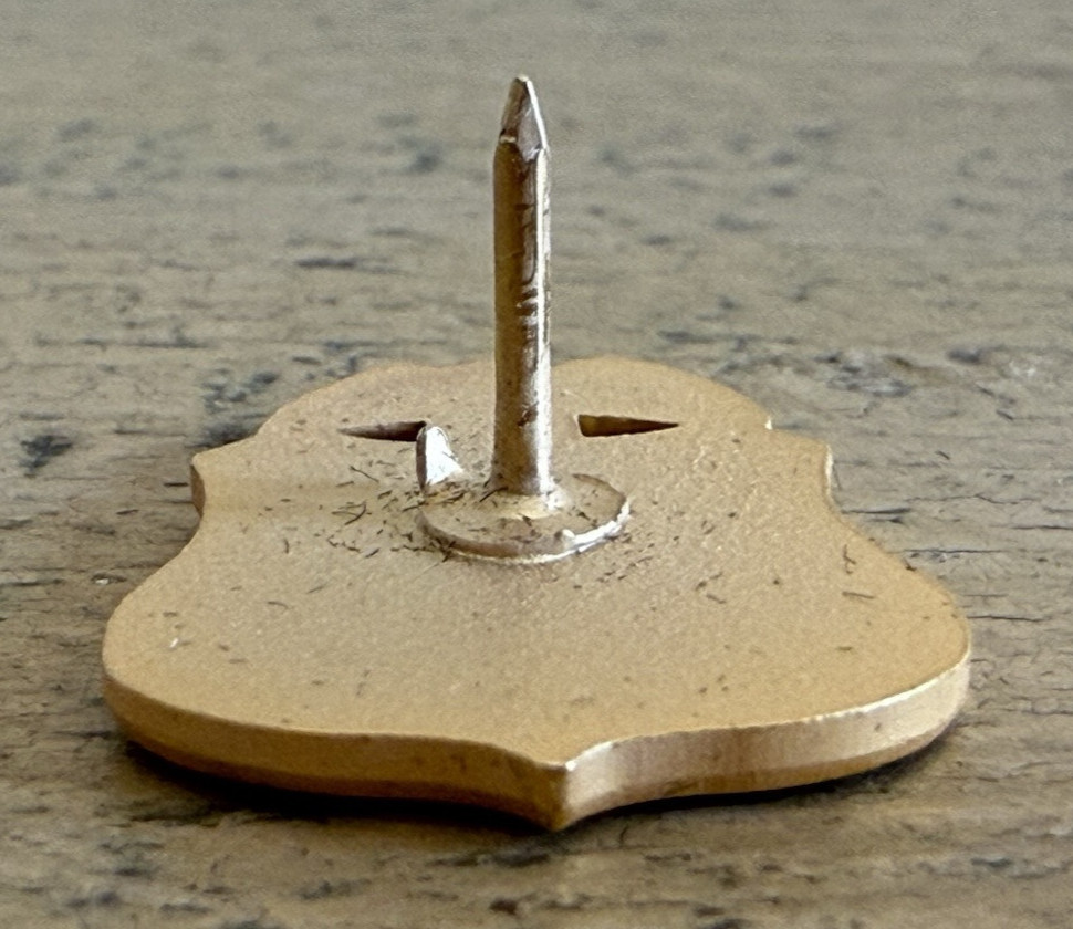 FBI Gold Shield Lapel Pin Raised Design