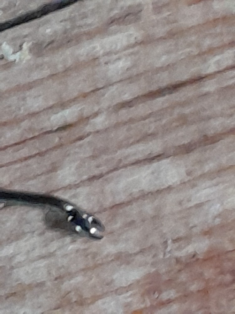 Trout Hooks Eyed Size 8