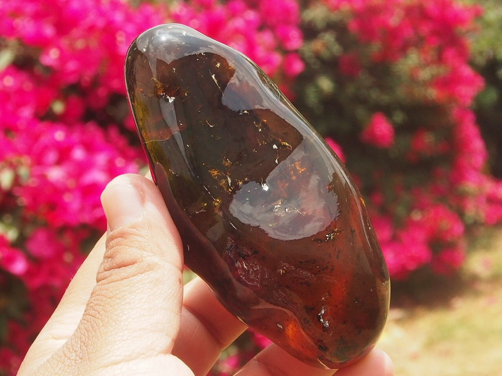 Fully Polished Mexican Amber