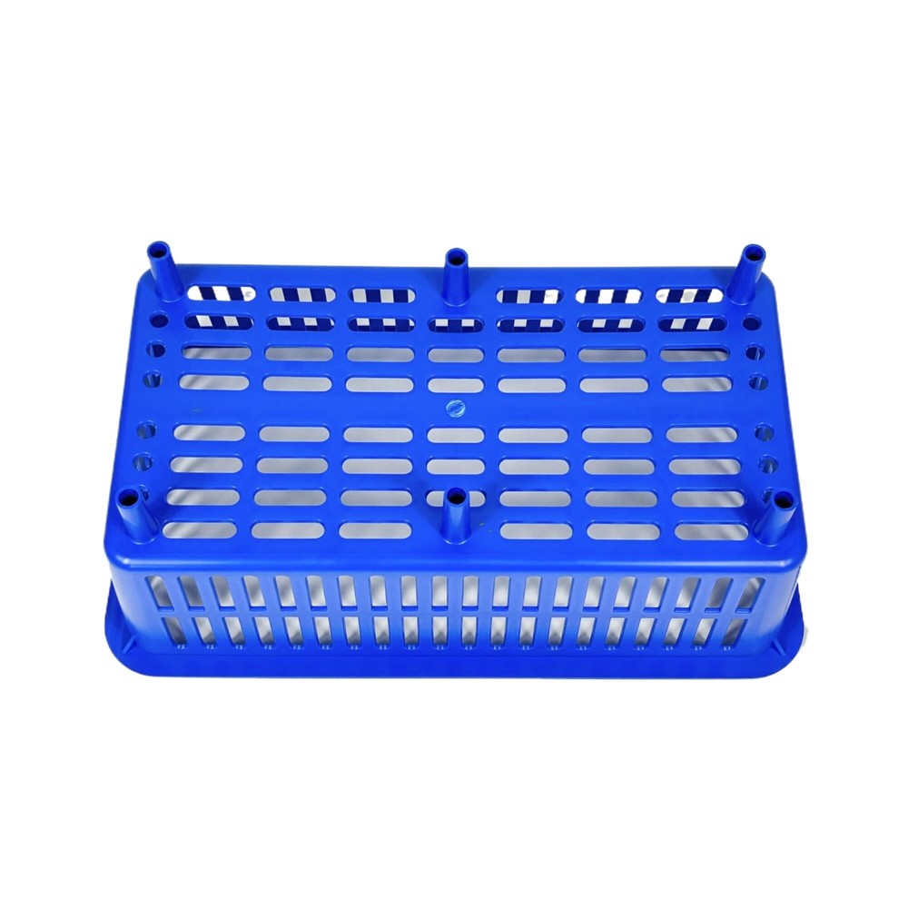 Storage Plastic Drain Basket with Feet for Sorting Live Fresh Shellfish Oyste...