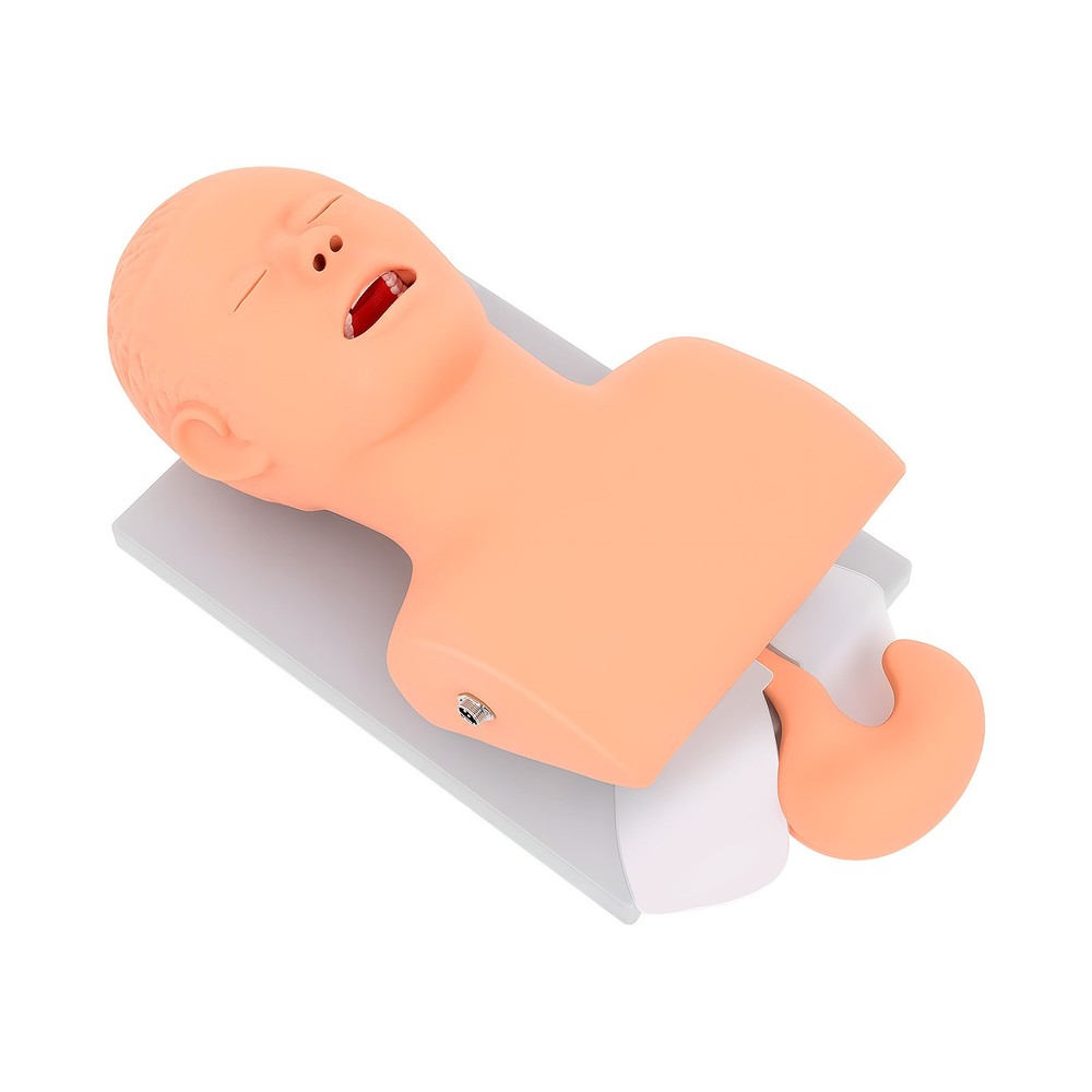 Intubation Manikin Study Teaching Simulator Airway Management Trainer Model