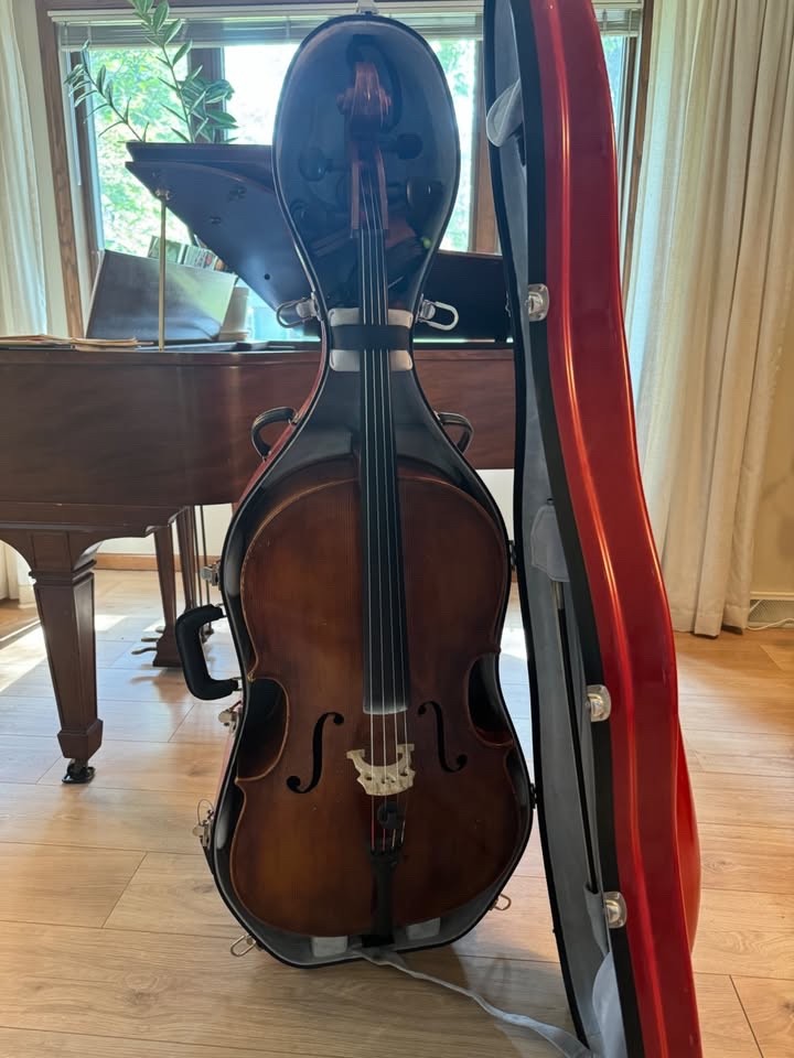 Anton Krutz Cello Model 750 (2012)