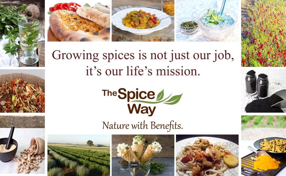 The Spice Way Dill Weed