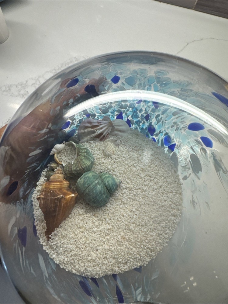 Seashell And Sand Globe 8 Inch’s