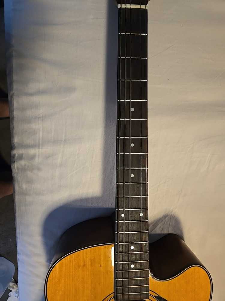 Samick Acoustic/Electric SW 210 CE DMG See Description