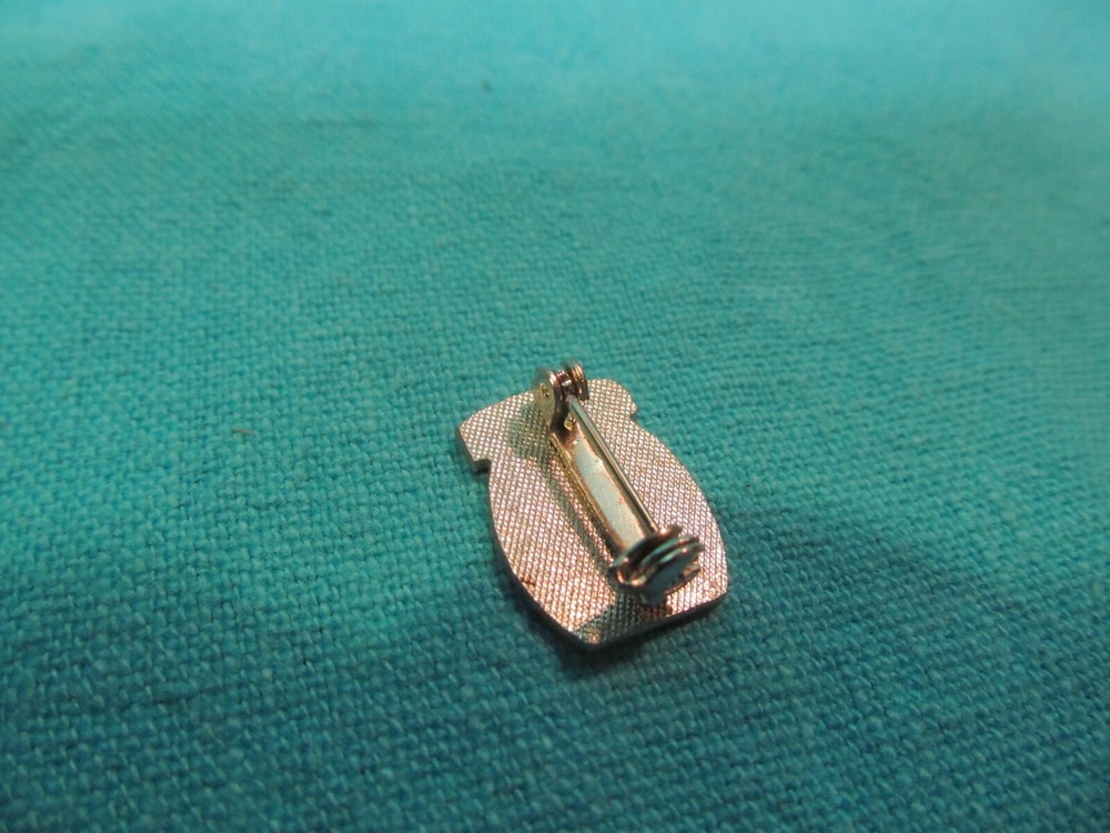 ARMY MOUNTAIN DIVISION ENAMEL PIN
