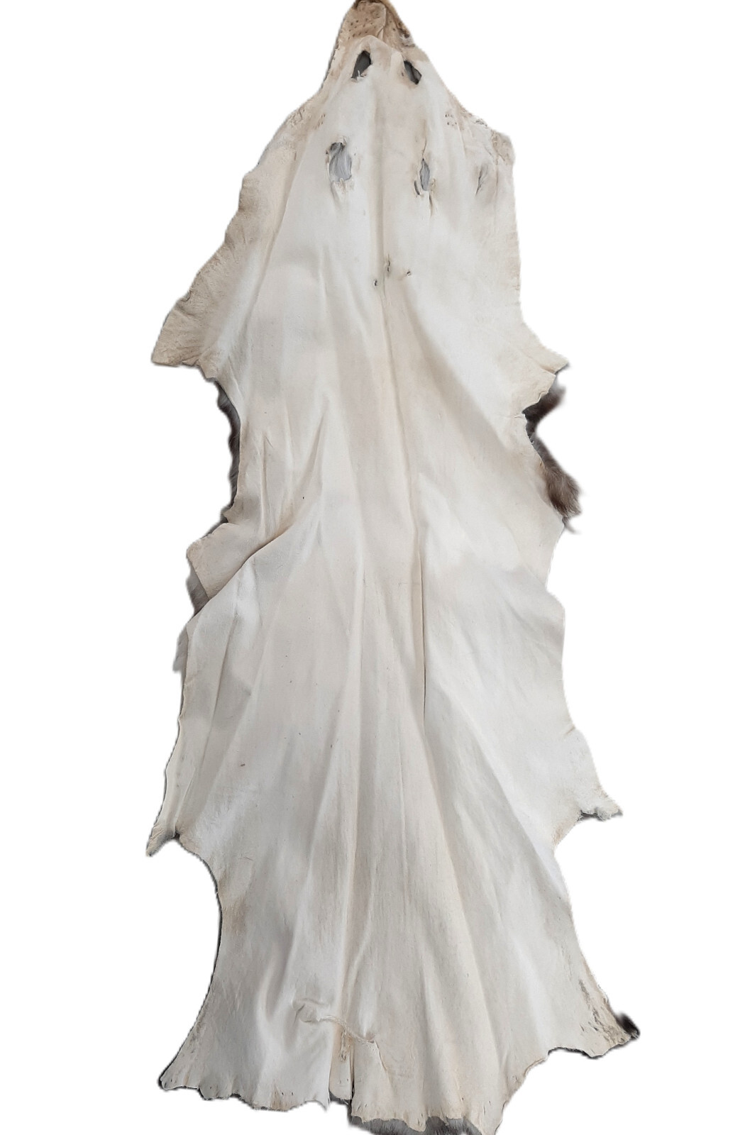 Opossum, Open Tanned-VERY Well Furred