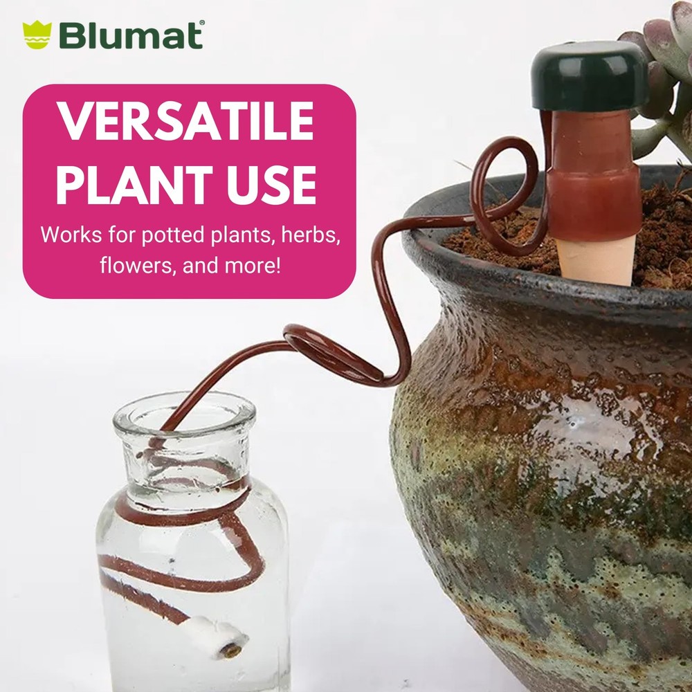 Plant Watering Devices ClassicXL Self Planter Insert Automatic Drip Stakes