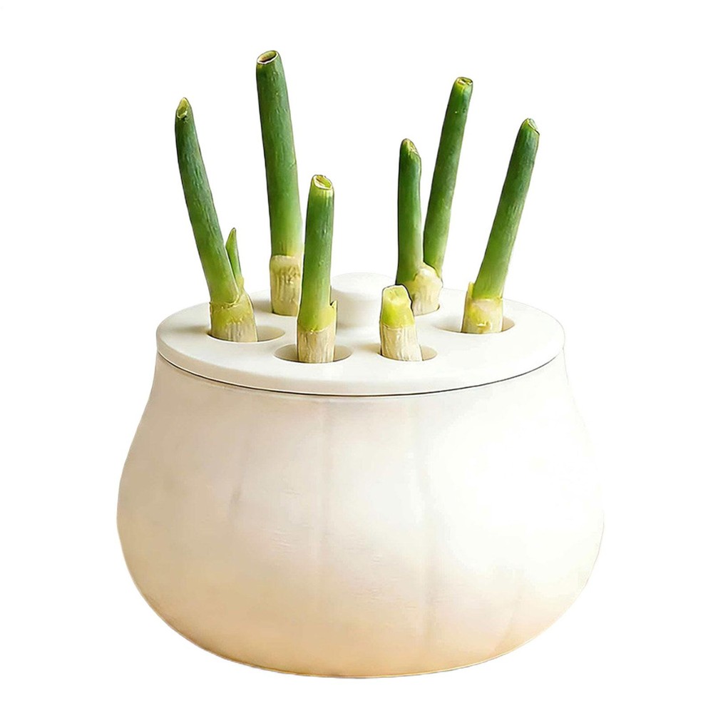 Propagation Jars with Fixed Lid Non Slip Container Sprout Maker