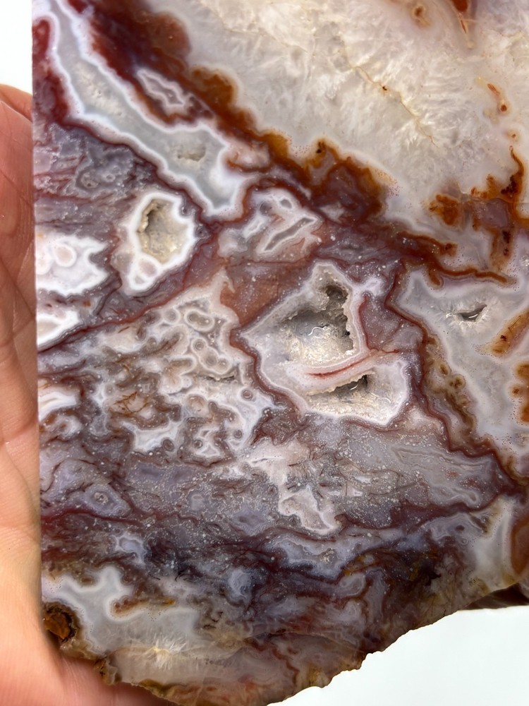 Thick Mexican Red Moss Agate Slab Lapidary Cabbing Combo Ship Avail