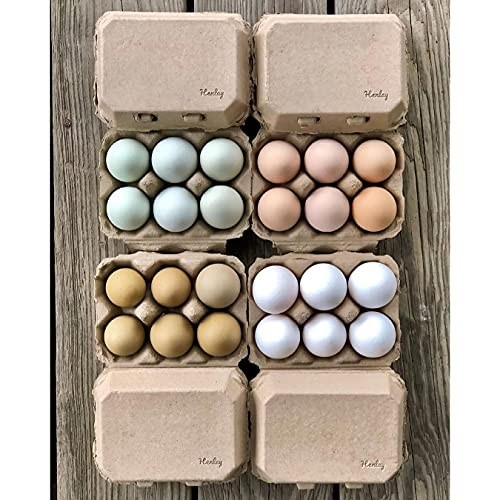 Blank Half-Dozen Egg Cartons Recyclable Pulp 100 Pack