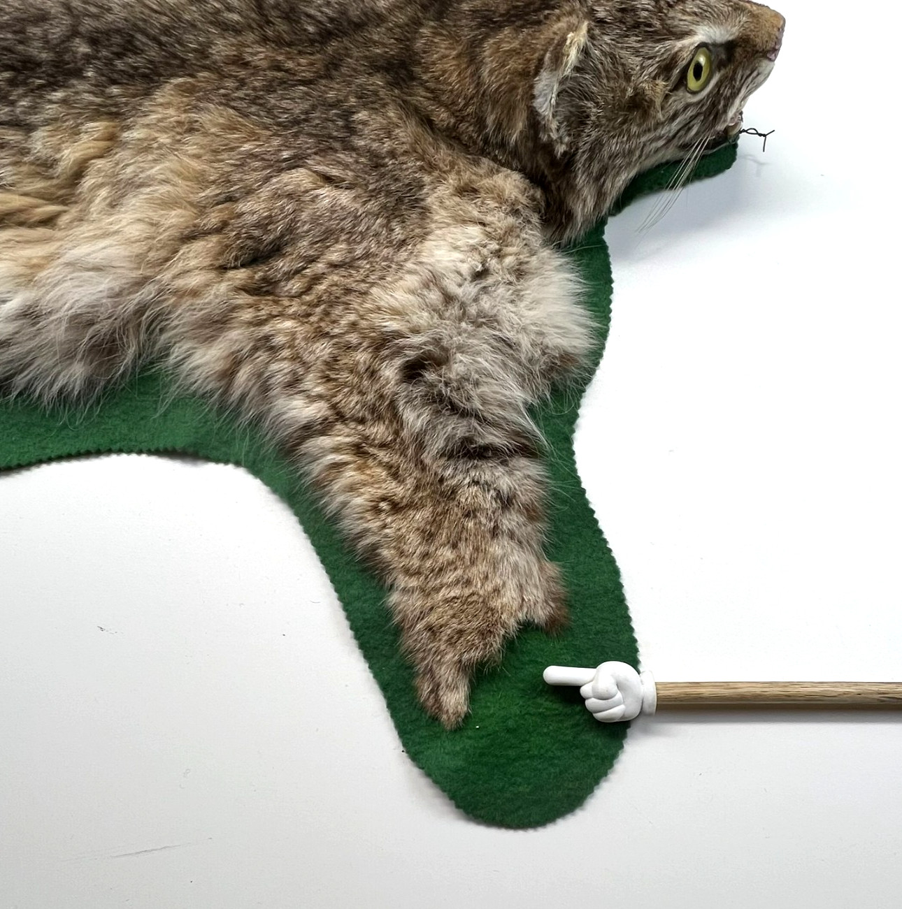 Vtg. Bobcat Taxidermy Rug Mount Full Body Green Felt Border Rustic Cabin Decor