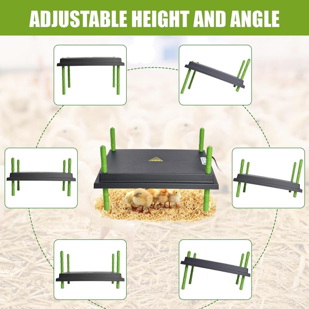 Chick Brooder Heater Plate 12"x16" Adjustable Temp Display 30W for 40 Chicks
