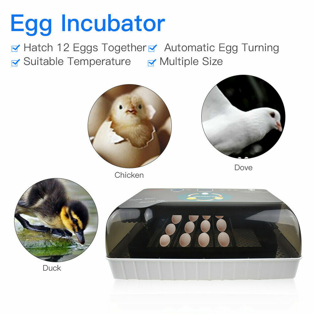 Incubator Automatic Digital Hatching 12 Eggs Mini Machine For Quail Chick Bird