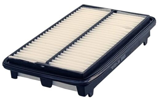 Extra Guard CA11010 Replacement Engine Air Filter for Select 2010 One Size