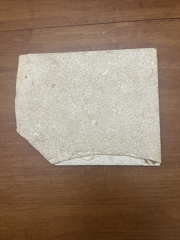 Fish Fossil Unknown Origin 9”x 7.25”