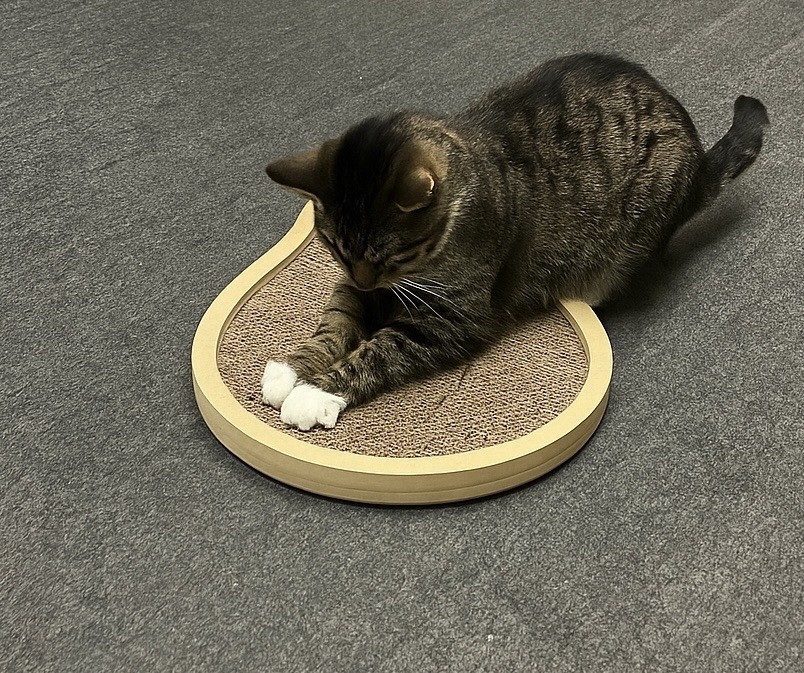 Avocado Shaped Cat Scratcher Pad - Bed