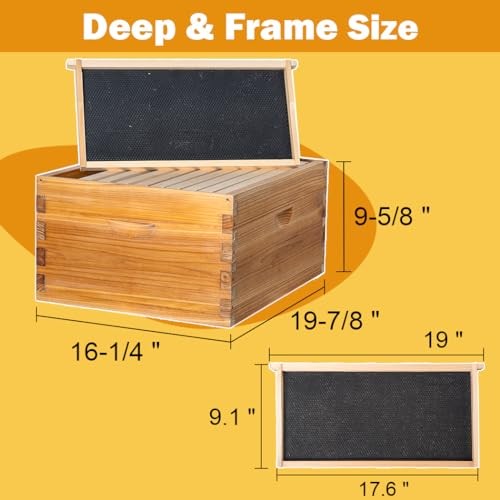 10 Frame Beehive Kit with Screened Bottom Board Dipped in Heavy 2-Layer