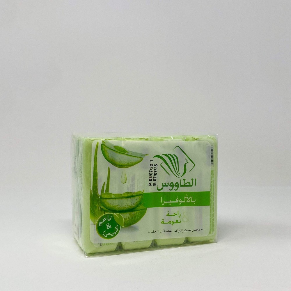 Taous Aloe Vera Moroccan Hand Soap