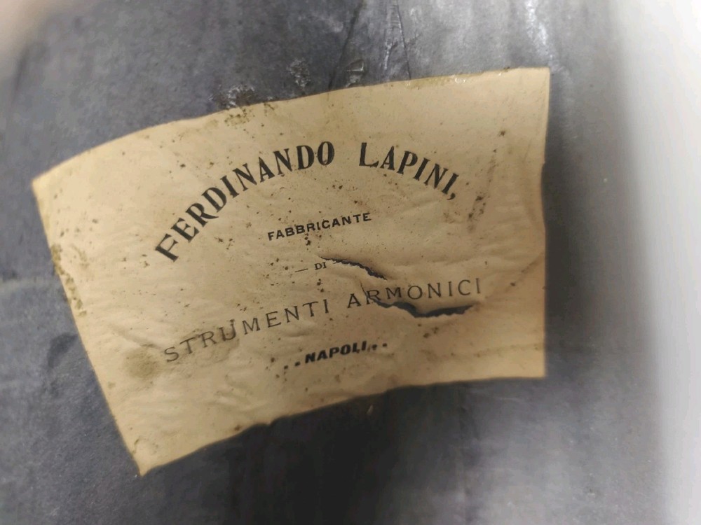 Mandolin 4/4 Ferdinando Lapini 1890 Naples 曼陀林 만돌린マンドリン