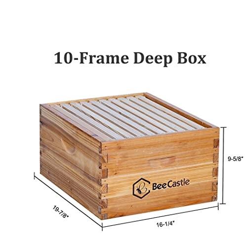 10-Frames Complete Beehive Kit, 100% Beeswax Coated Bee Hive Includes Beehive