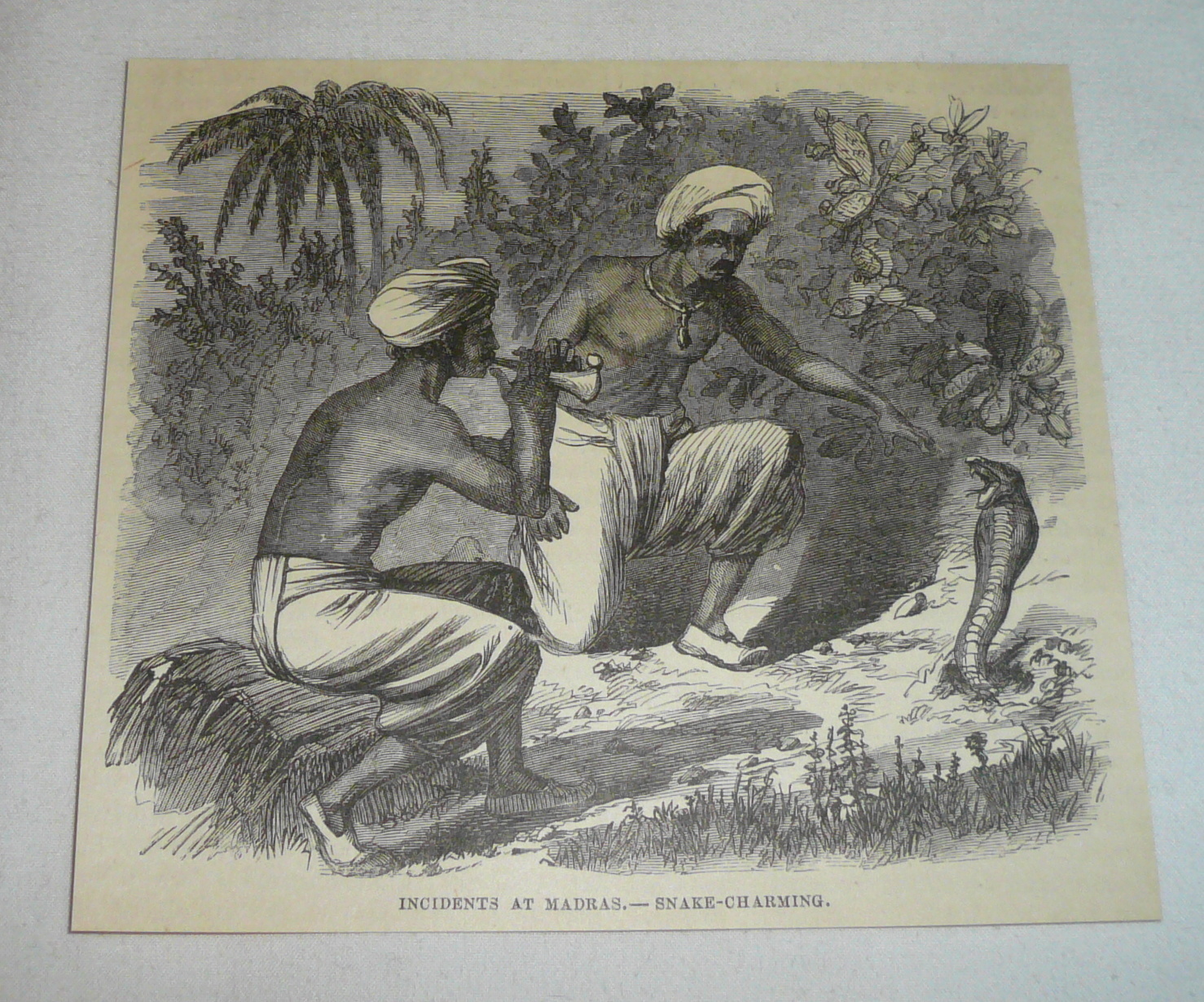 1879 magazine engraving ~ SNAKE CHARMING ~ Madras (Chennai), India