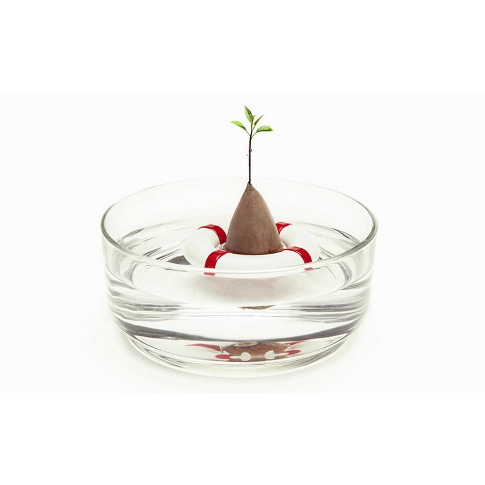 NEW Peleg Design Seed Guard Seed Growing Device