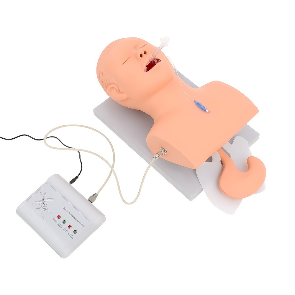 Intubation Manikin Study Teaching Simulator Airway Management Trainer Model