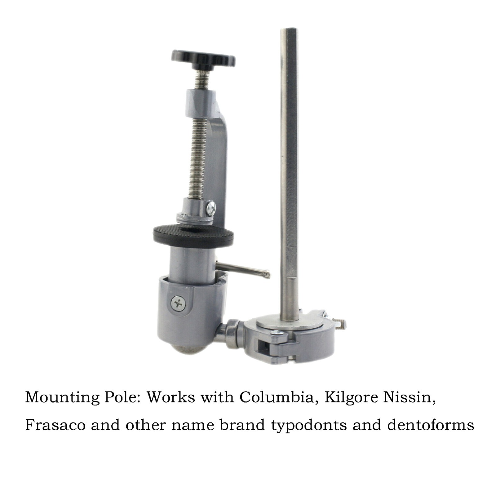 Dental Typodont Teeth Model 28 32pcs Teeth Columbia Kilgore Nissin 200 Pole