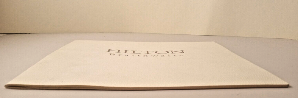 Hilton Braithwaite/ Easy / Exhibition Catalog / Light Work 30