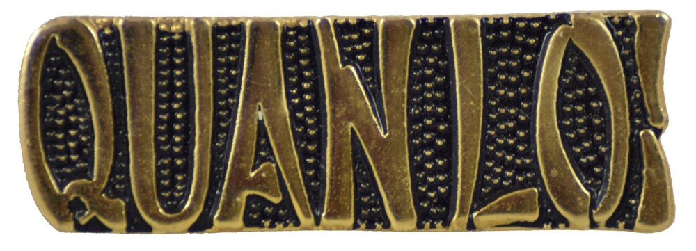Quan Loi Pin