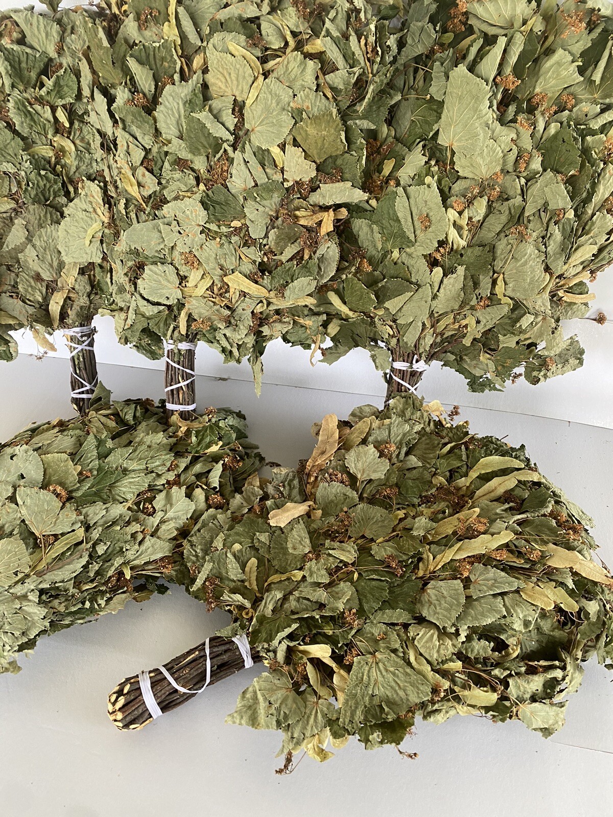 12 Birch brooms NEW SEASON 2025 sauna banya venik Eiche whisks eco Ukrainian