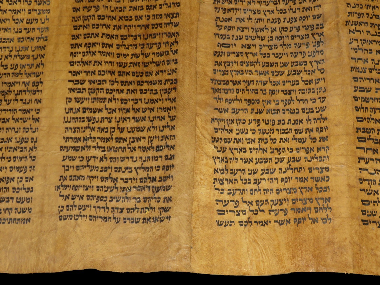 TORAH SCROLL BIBLE VELLUM MANUSCRIPT 300 YRS OLD YEMEN COMPLETE Book of Genesis
