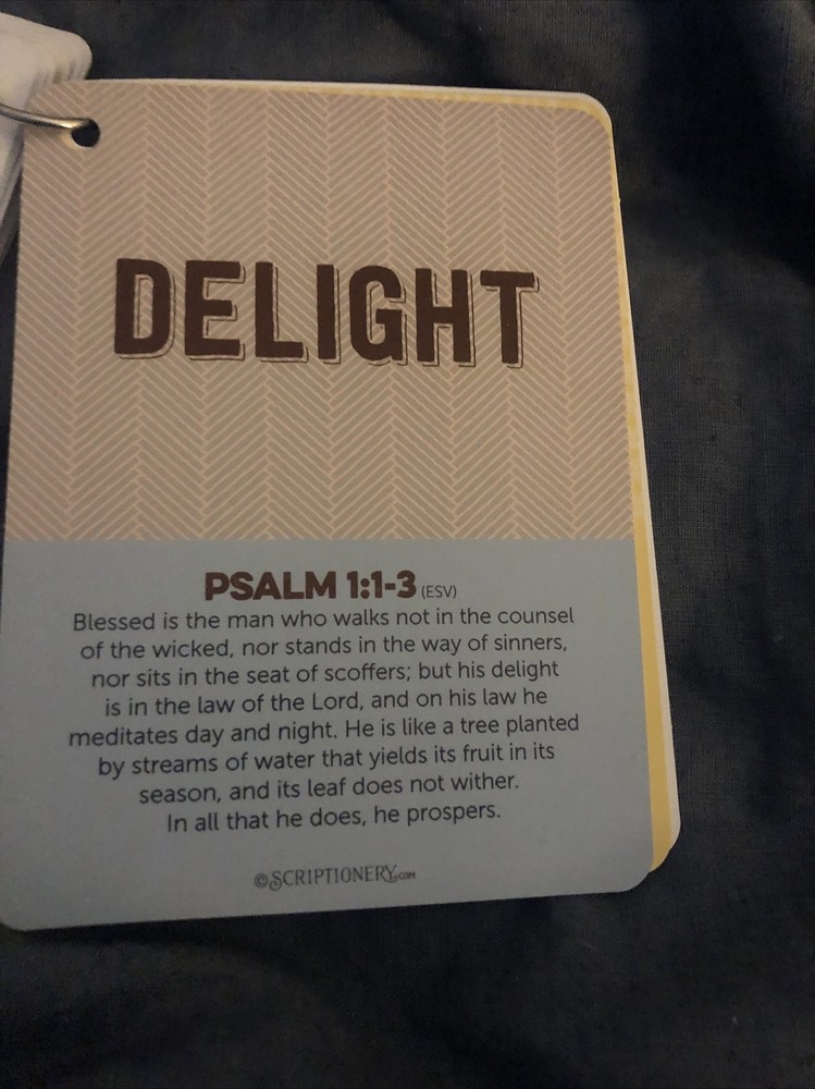 Scriptionery - Go forth Scripture Truths 20 Bible Verses Cards on a ring