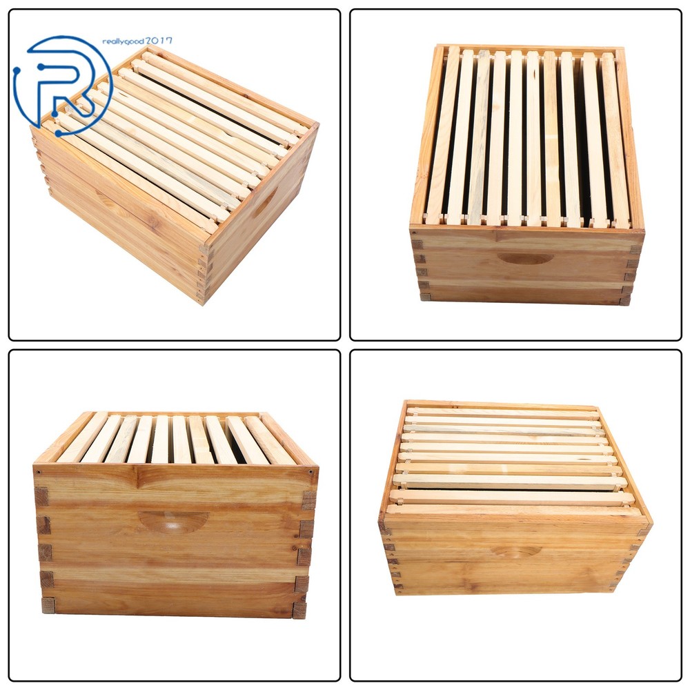 Beeswax Coated 4 Layer 10 Frame Bee Hive Includes Beehive Frames and Foundations