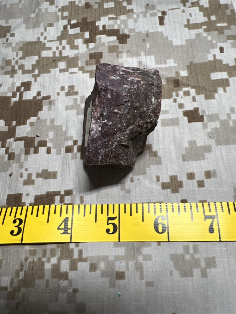 Fossil T-Rex Bone Fragment