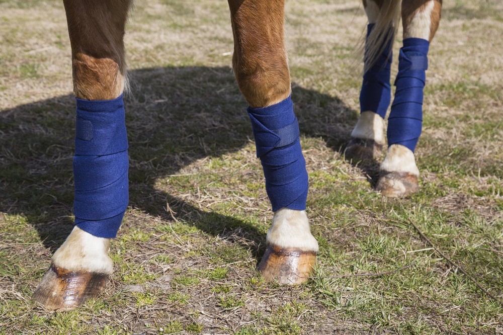 Polo Wraps Full Set, Black