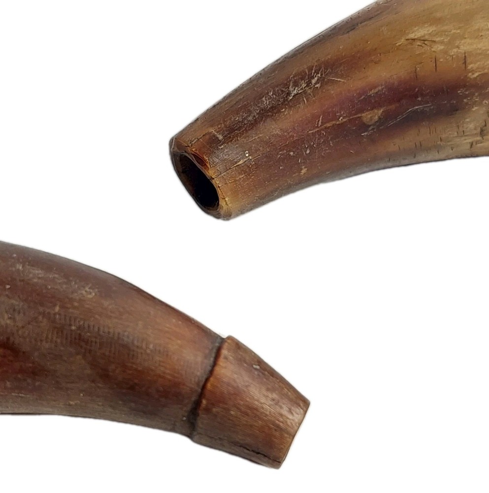 VTG Powder Horns