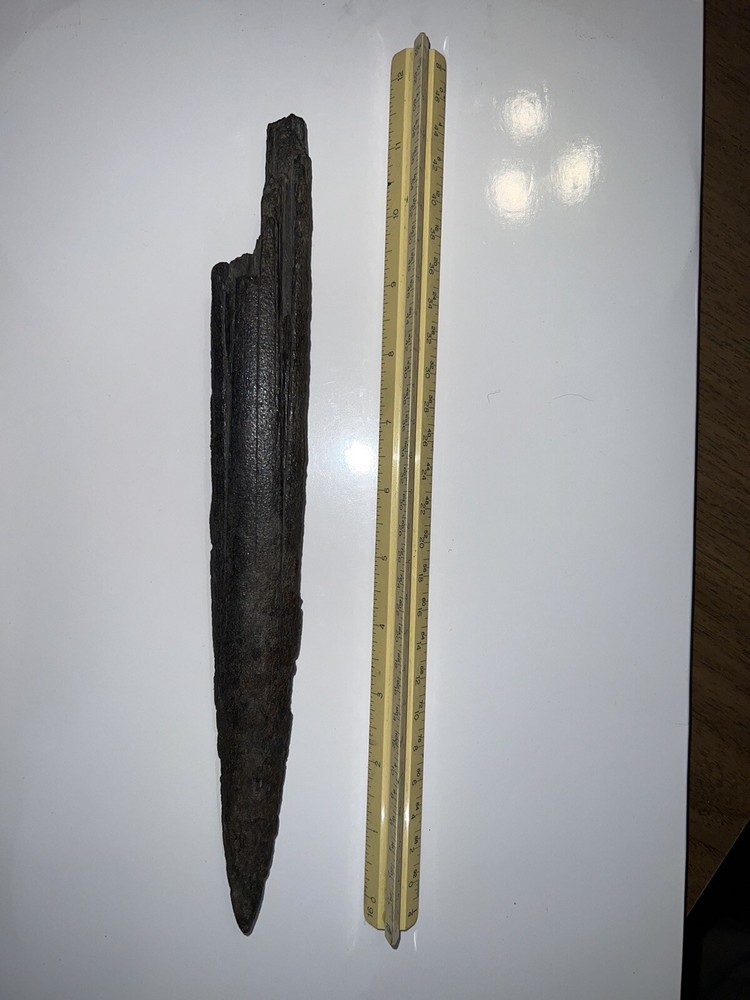 Fossilized swordfish bill