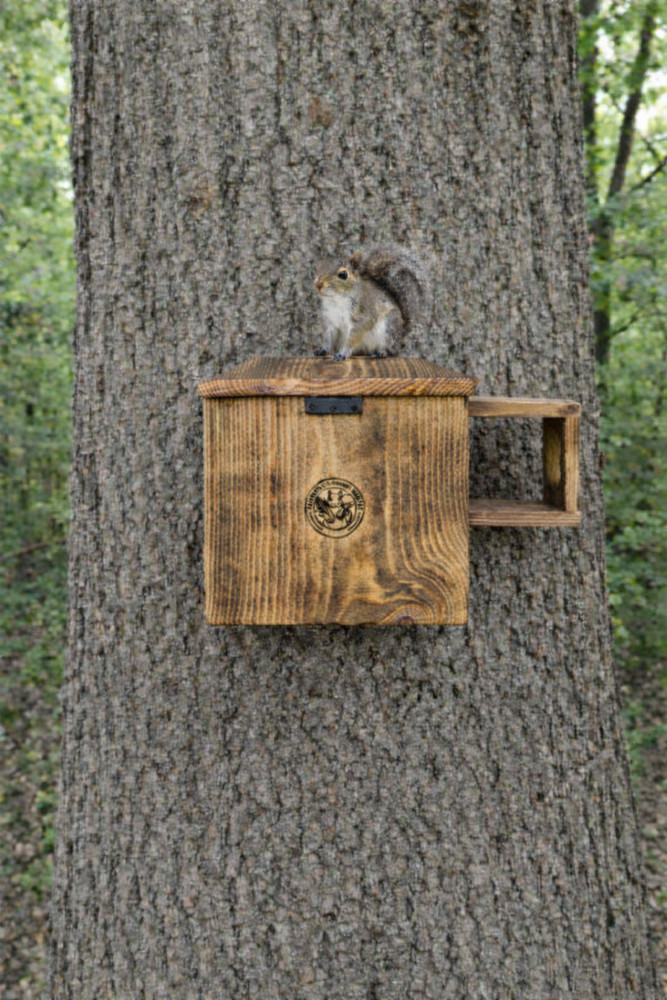 Extra Large Handmade White Pine Squirrel House – Outdoor Nesting Box