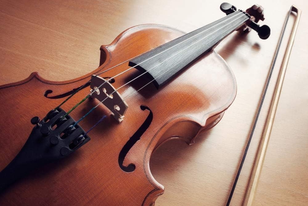 2 Sets Violin Strings Full Set G-D-A-E, Universal Violin Strings with Nickel-...