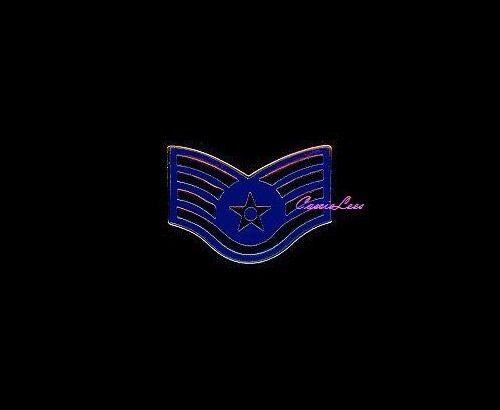 USAF E-5/Staff Sgt  + a custom promo pin
