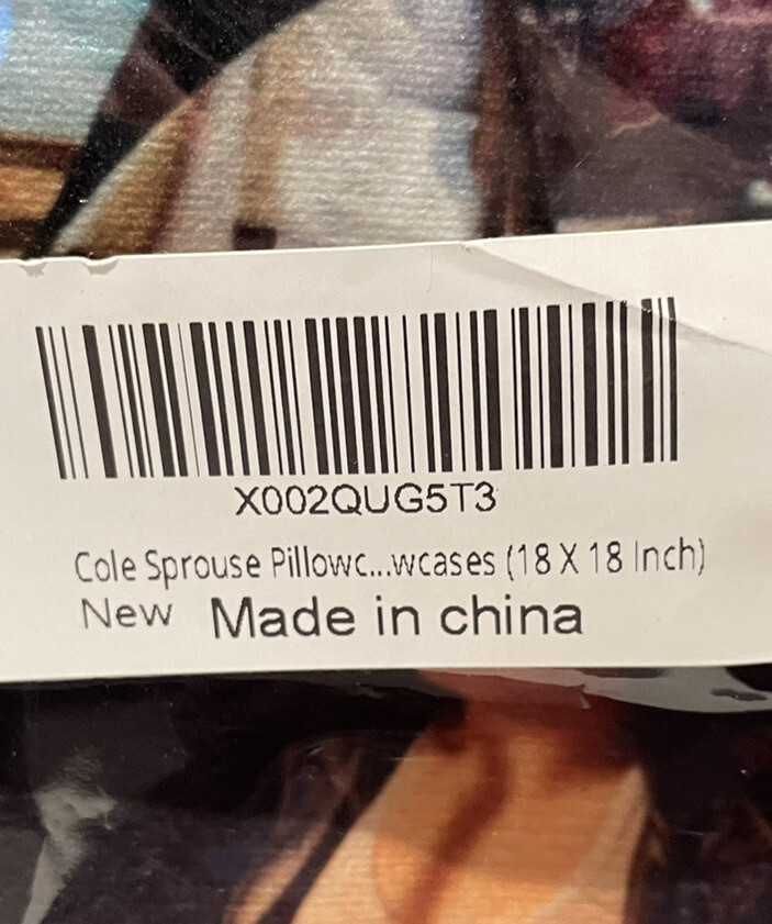 Cole Sprouse Pillow Case