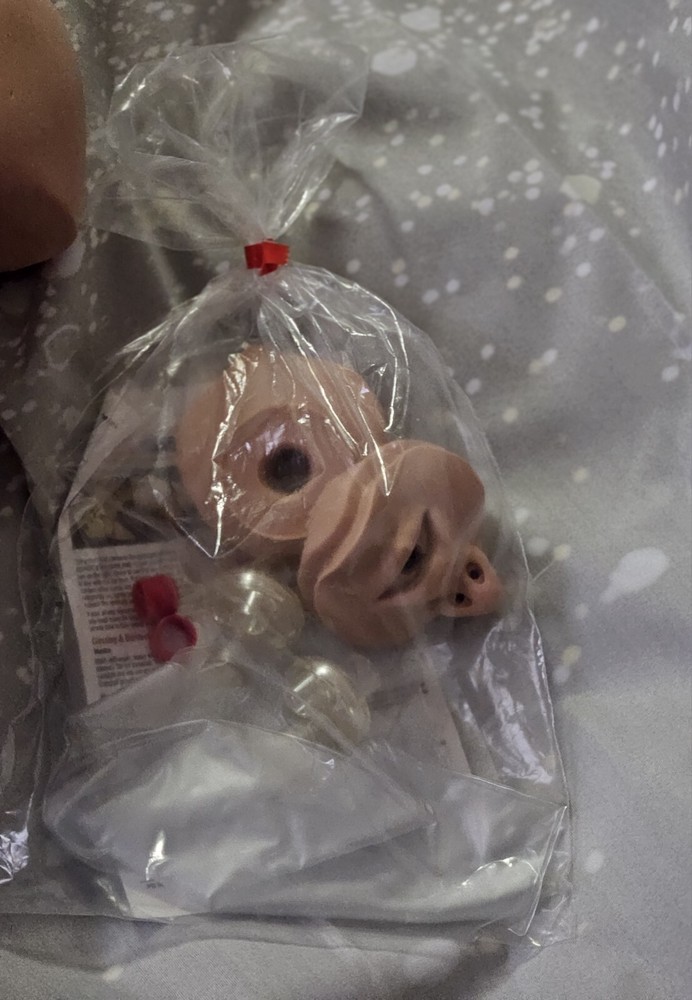 Brad Manikin Cpr Doll