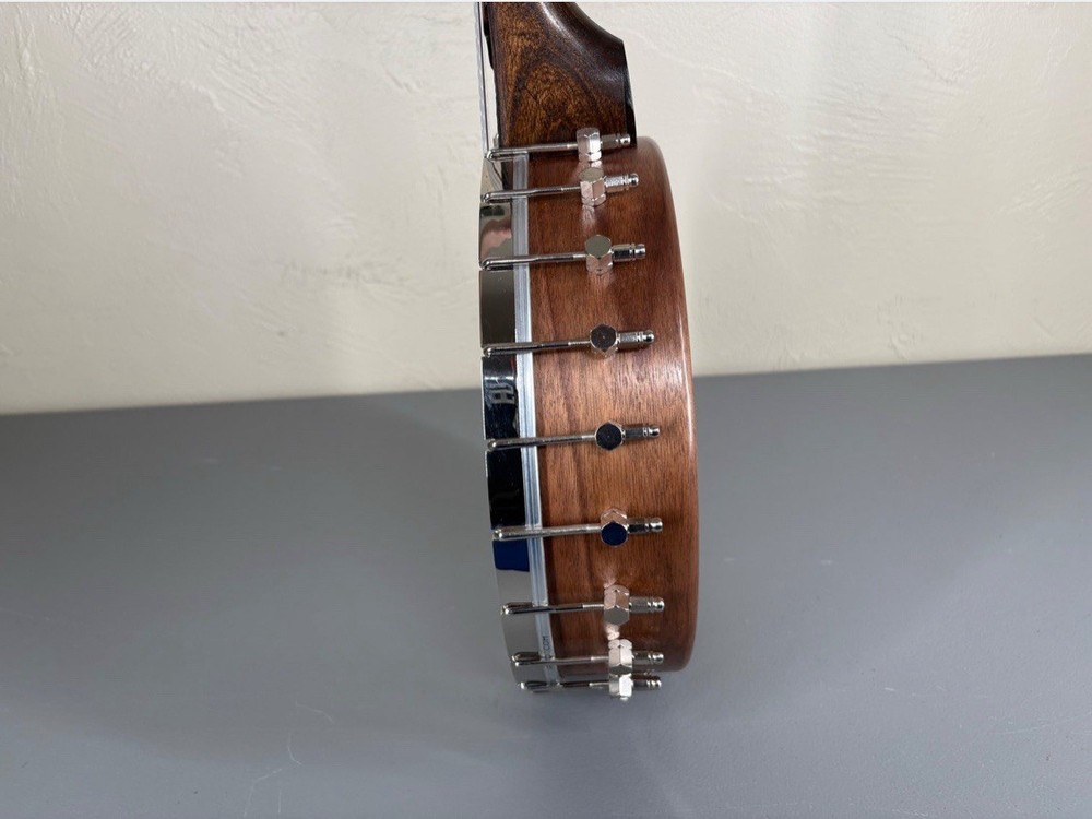 5-String Open-Back Banjo with Case in Excellent Condition, Nylon Strings