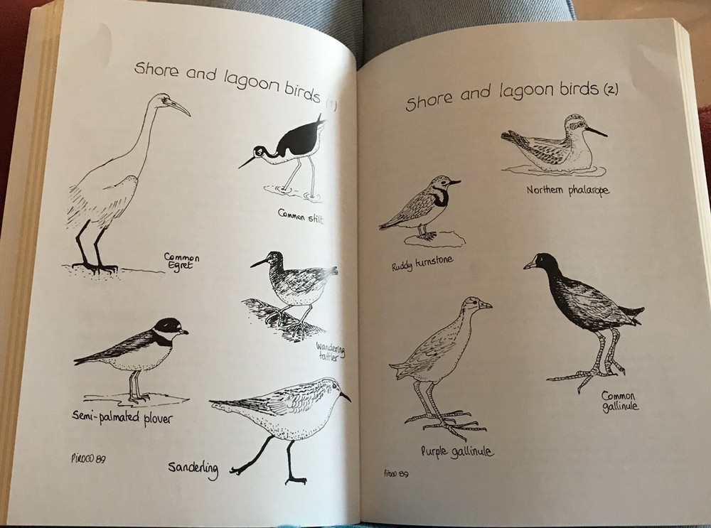 2006 "Galapagos A Natural History Guide" by Pierre Constant