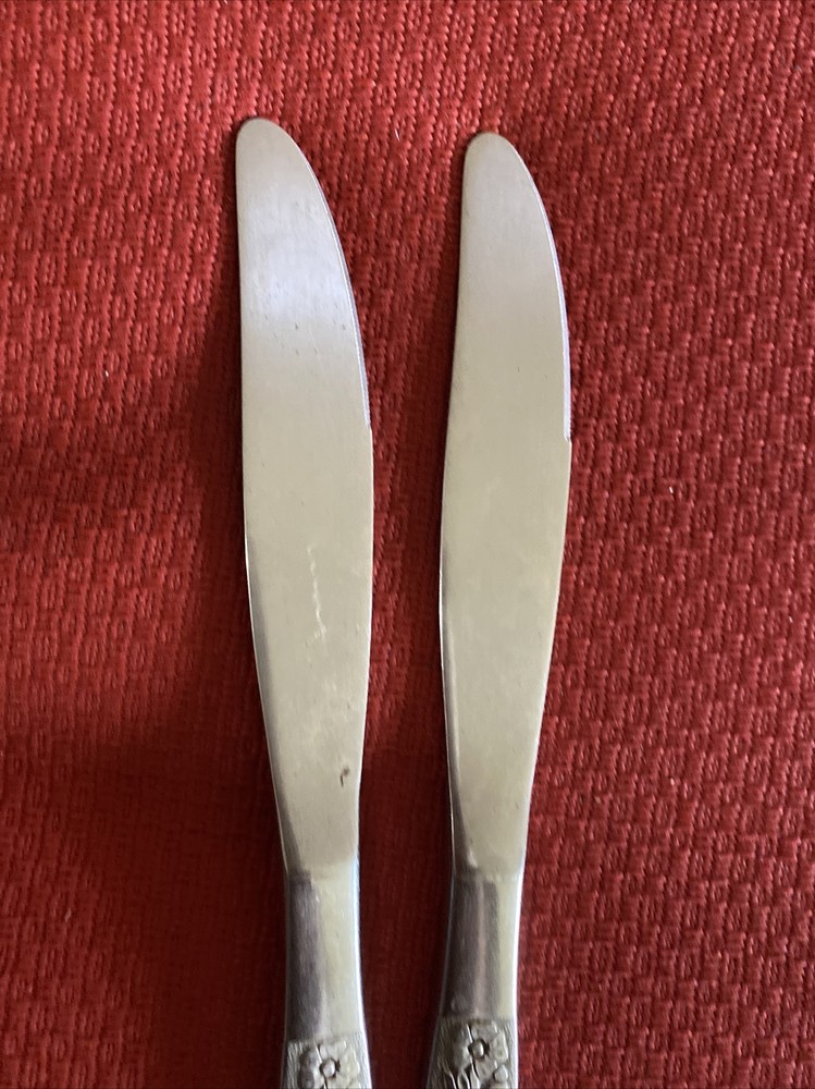 2 Oneida Malibu Stainless Dinner Knives