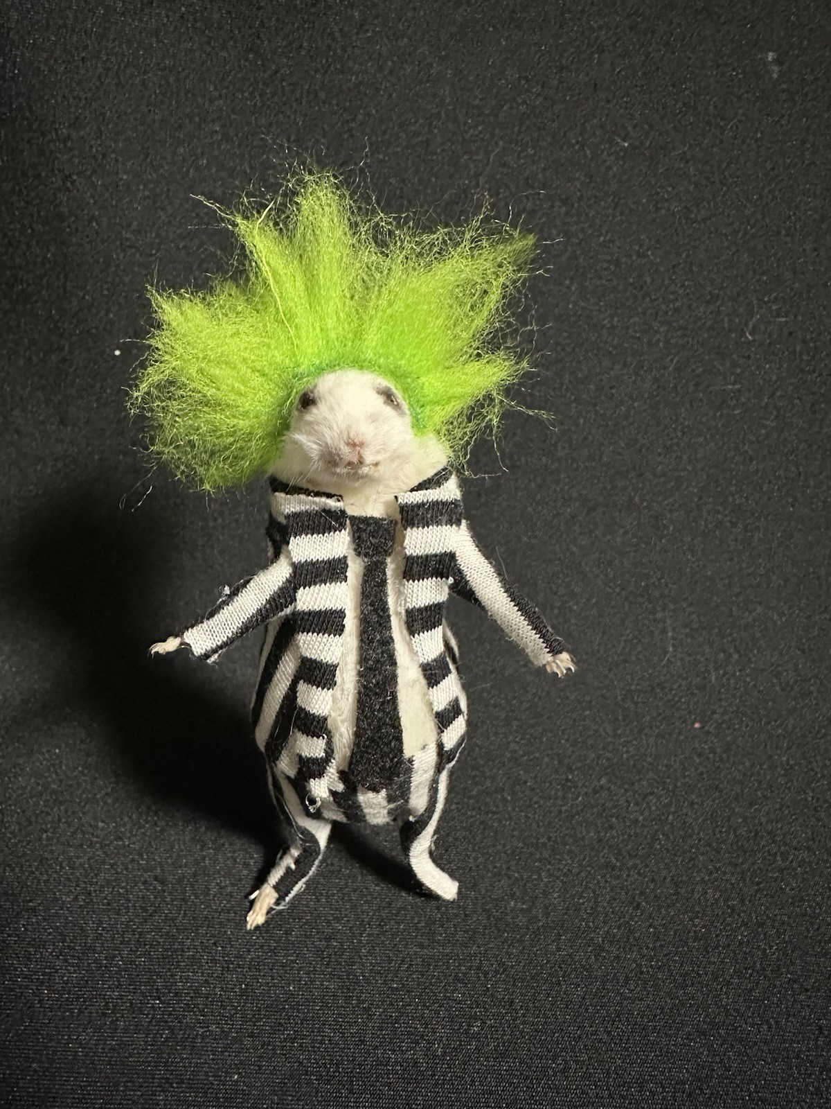 Taxidermy Mouse Beetlejuice Mouse Oddities Curiosities Taxidermy Art